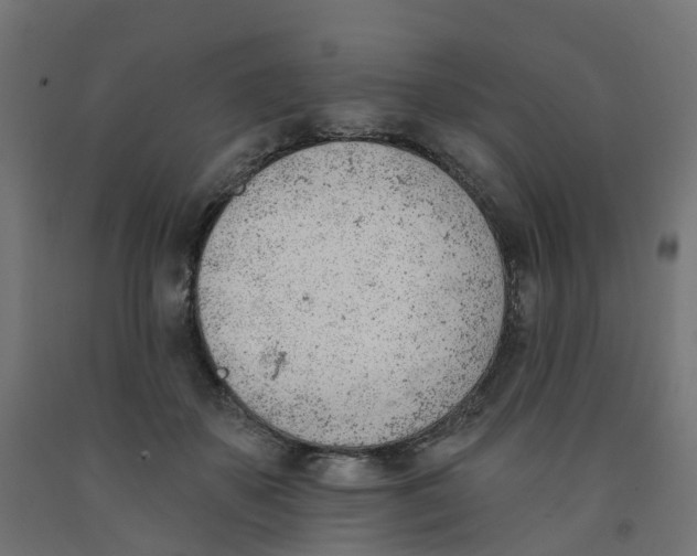 X0000091970507200710041052