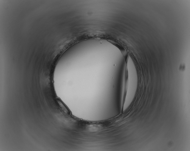 X0000091970508200710041052