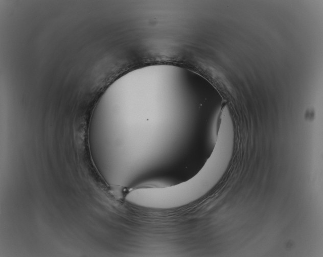 X0000091970509200710041052