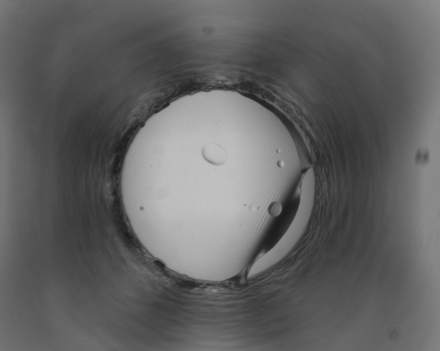 X0000091970512200710041051