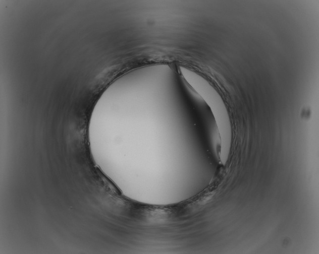 X0000091970513200710041051