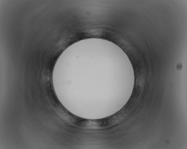X0000091970518200710041051