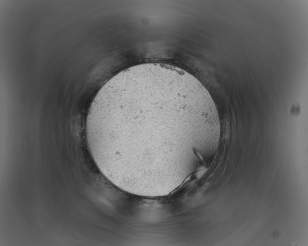 X0000091970519200710041051
