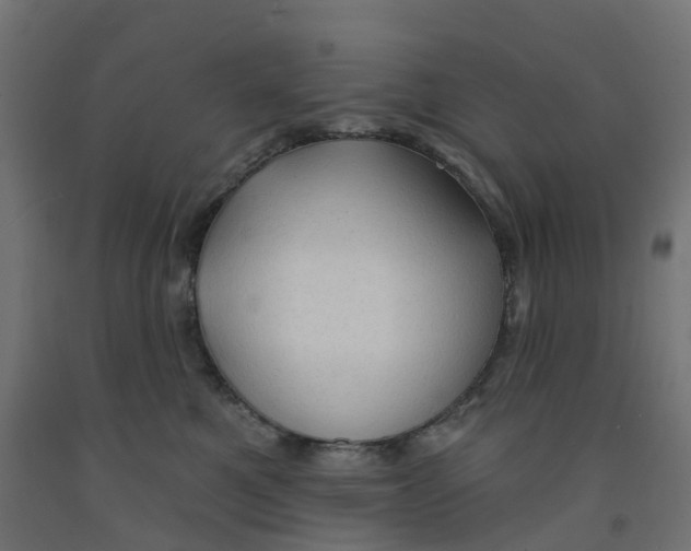 X0000091970521200710041051