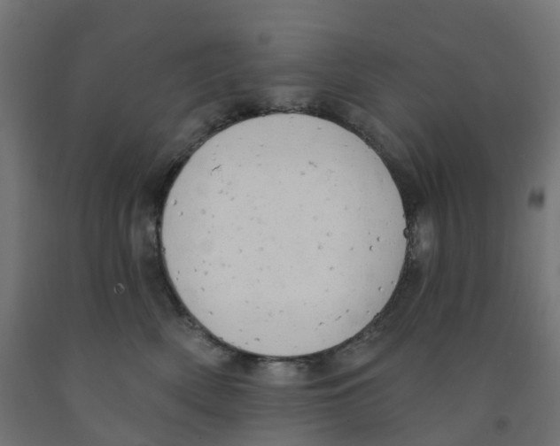 X0000091970522200710041051