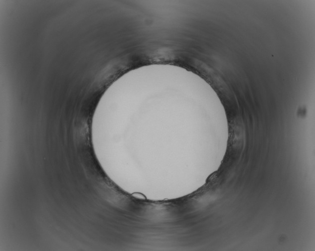 X0000091970523200710041051