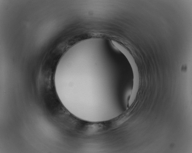 X0000091970525200710041051