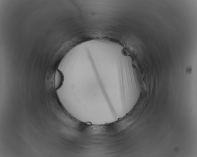 X0000091970526200710041051