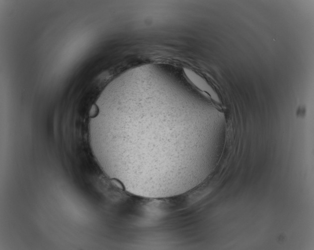 X0000091970527200710041051