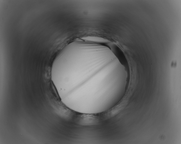 X0000091970528200710041051
