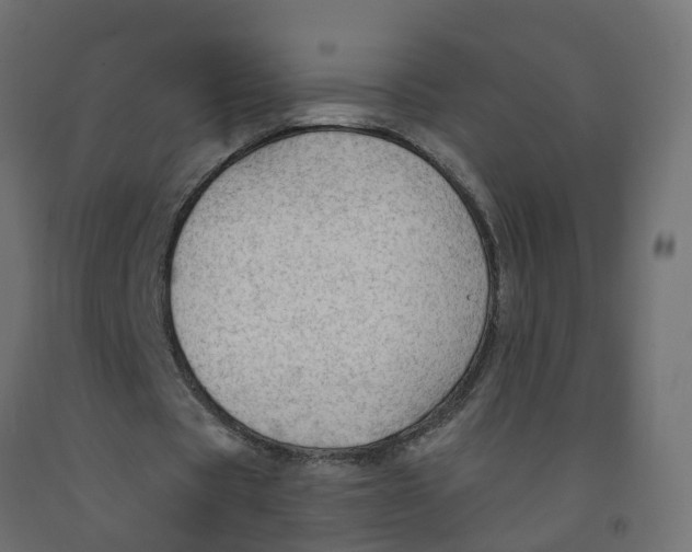 X0000091970529200710041051