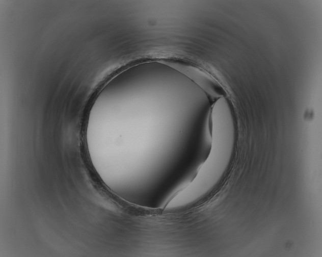 X0000091970530200710041051