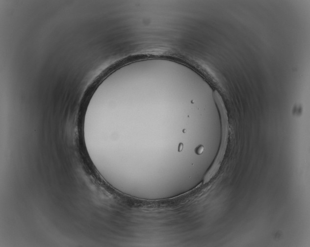 X0000091970532200710041051