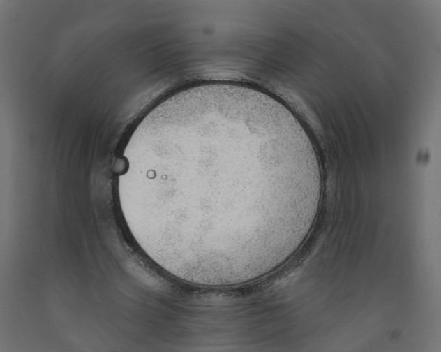 X0000091970533200710041051