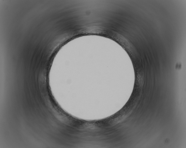 X0000091970534200710041051