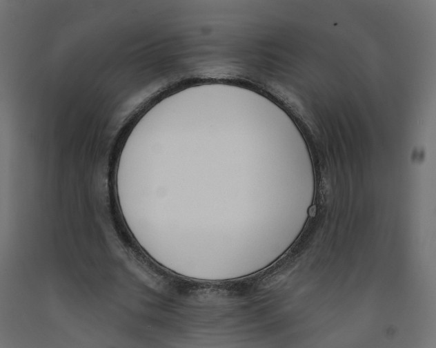 X0000091970535200710041051