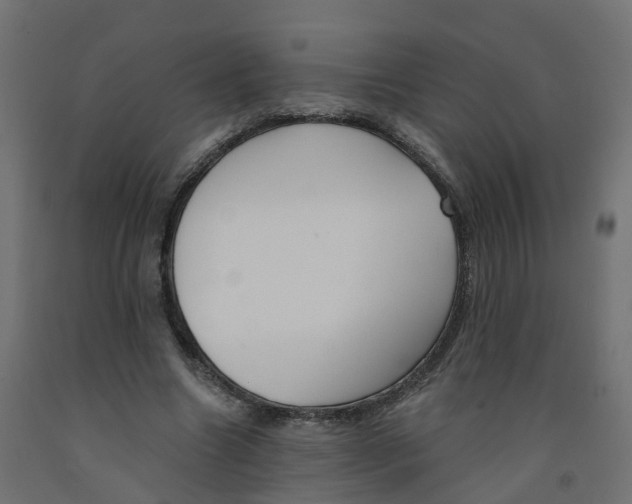 X0000091970538200710041051