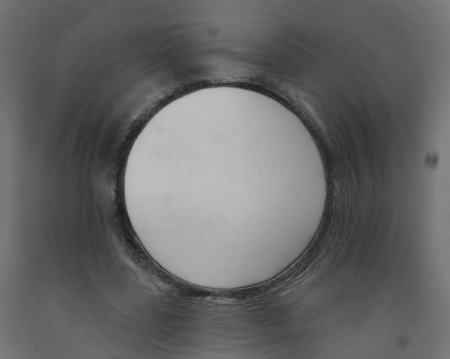 X0000091970539200710041051
