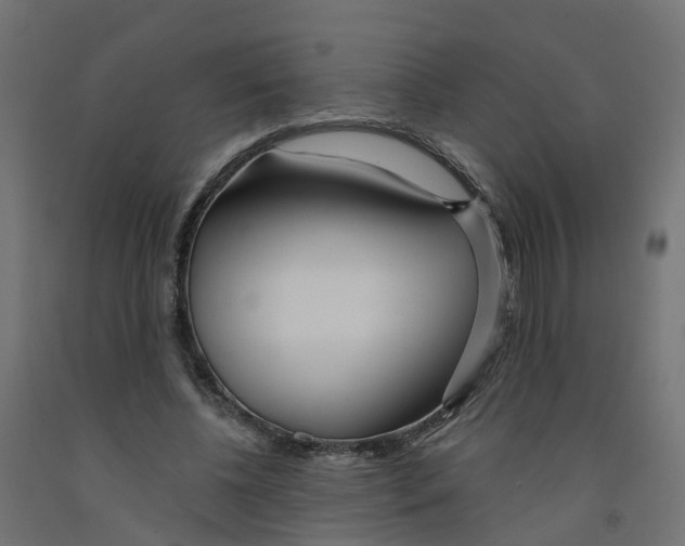 X0000091970540200710041051