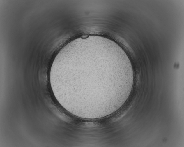 X0000091970541200710041051