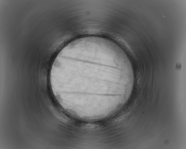X0000091970542200710041051