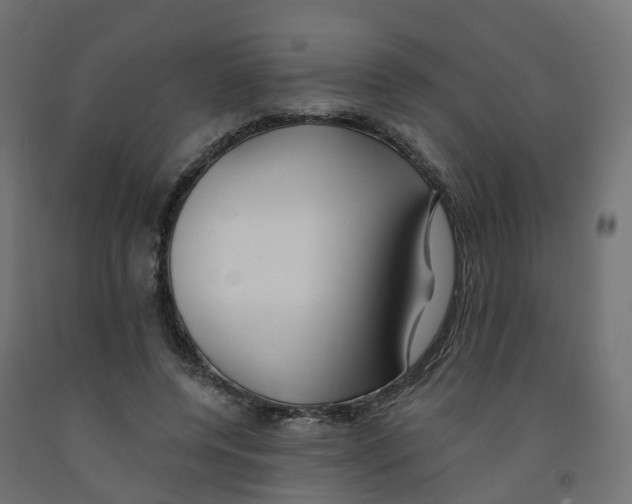 X0000091970544200710041051
