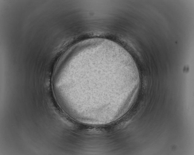 X0000091970545200710041051