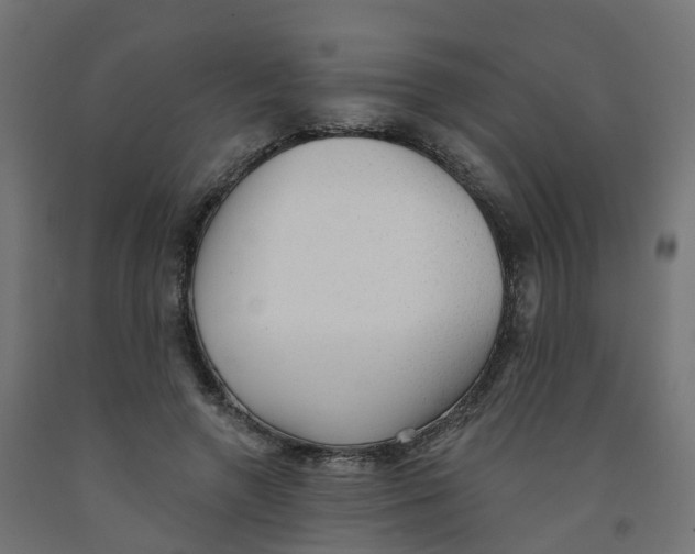 X0000091970546200710041051