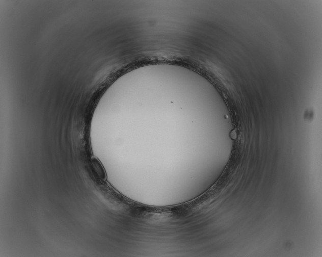 X0000091970548200710041051