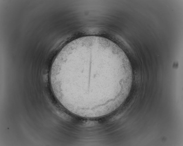 X0000091970549200710041051