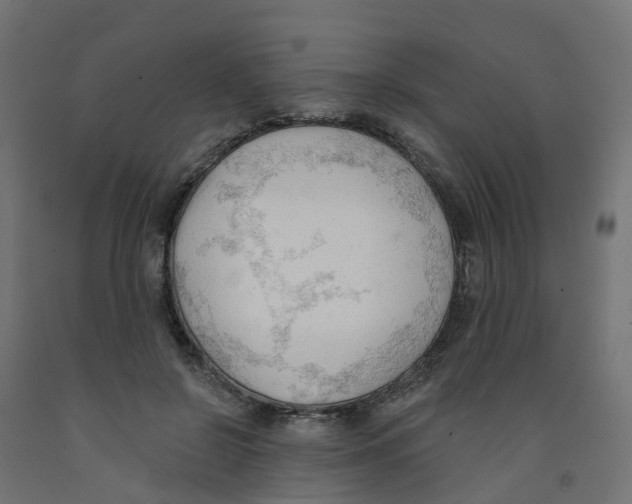 X0000091970550200710041051