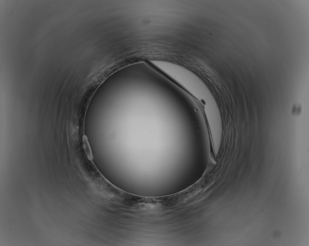 X0000091970552200710041051