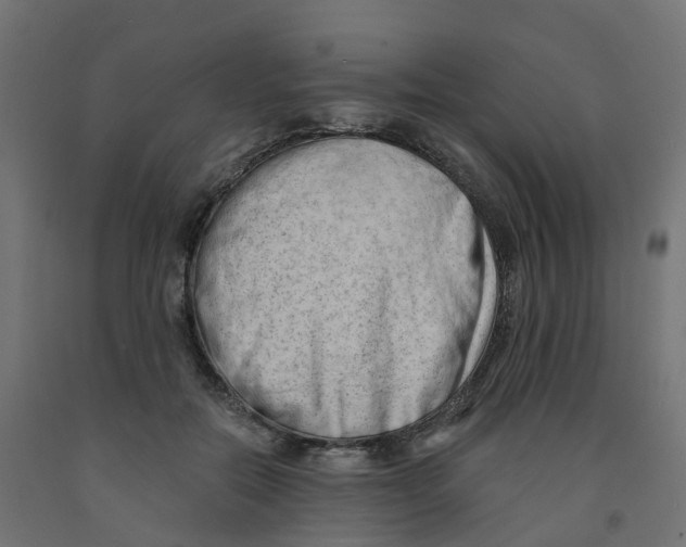 X0000091970554200710041051