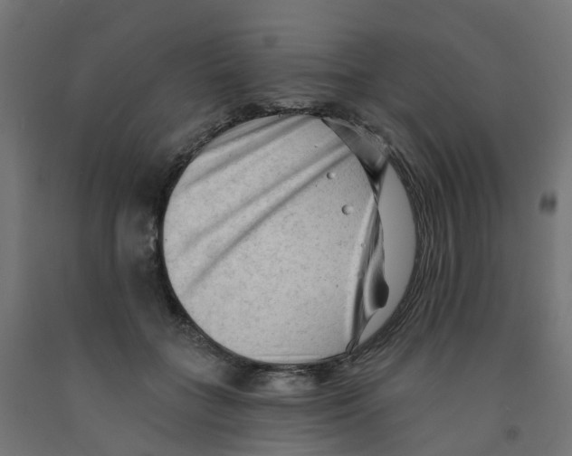 X0000091970555200710041051