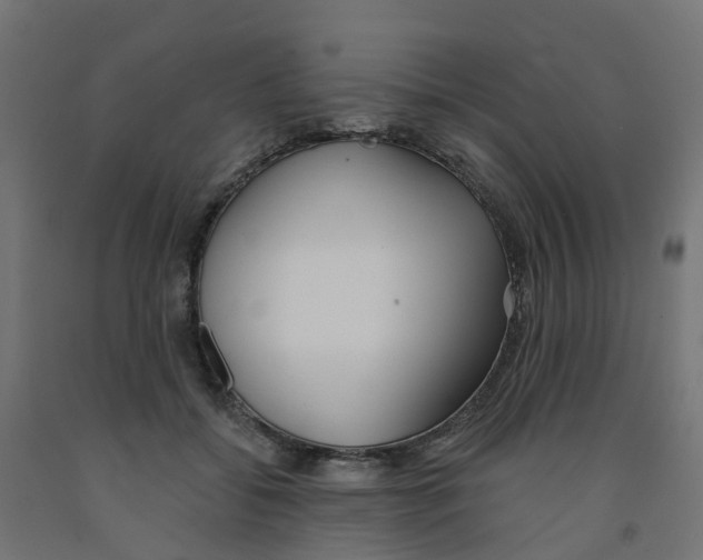 X0000091970556200710041051
