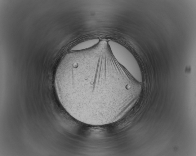 X0000091970557200710041051