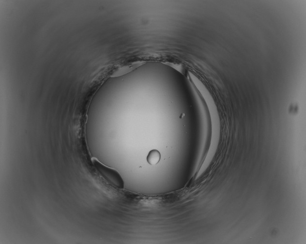 X0000091970560200710041051