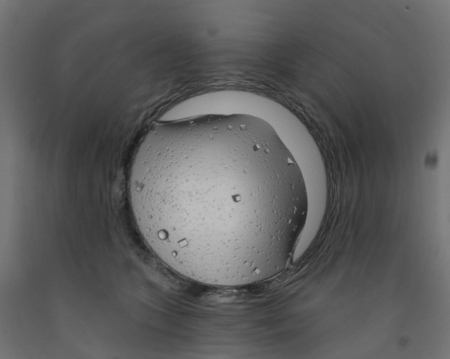 X0000091970563200710041051