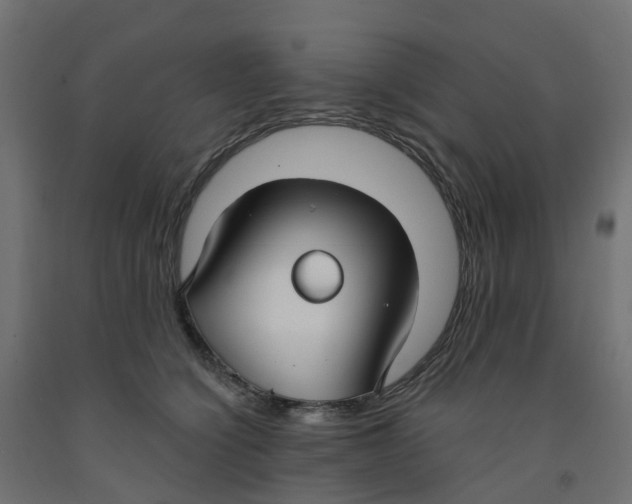X0000091970564200710041051