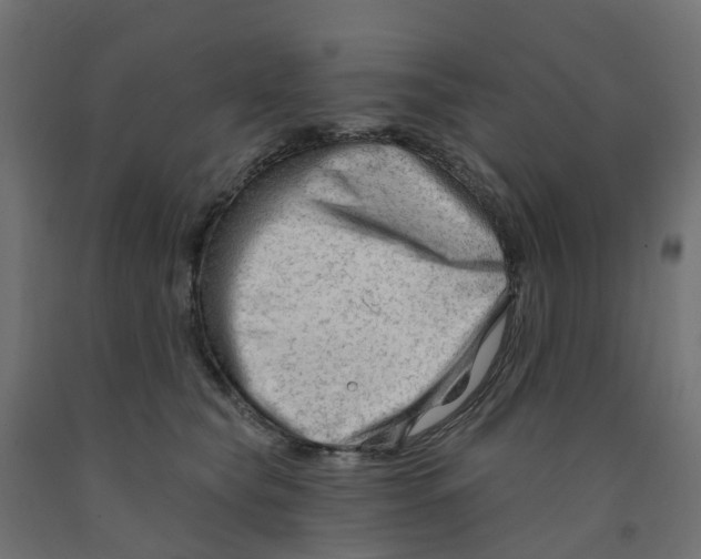 X0000091970565200710041051