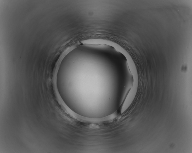 X0000091970566200710041051