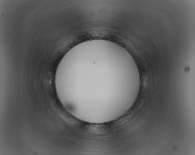 X0000091970567200710041051