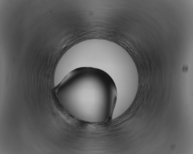 X0000091970568200710041051