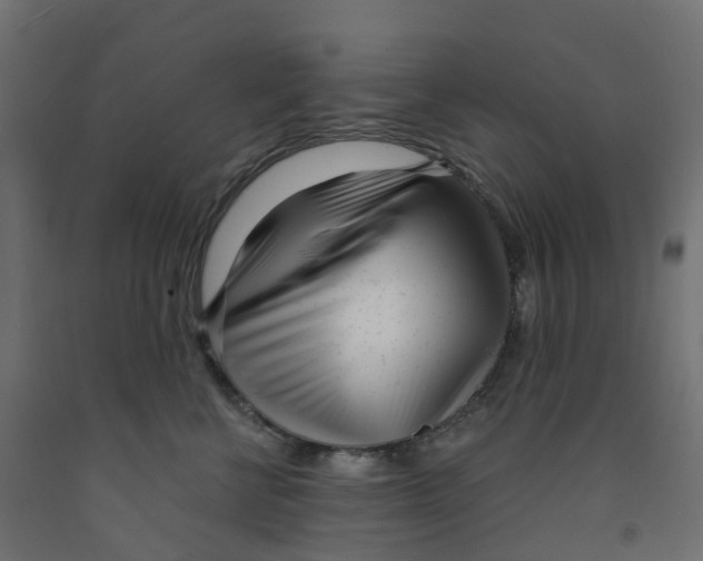 X0000091970570200710041051