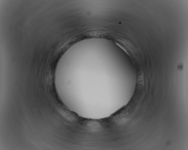 X0000091970572200710041051