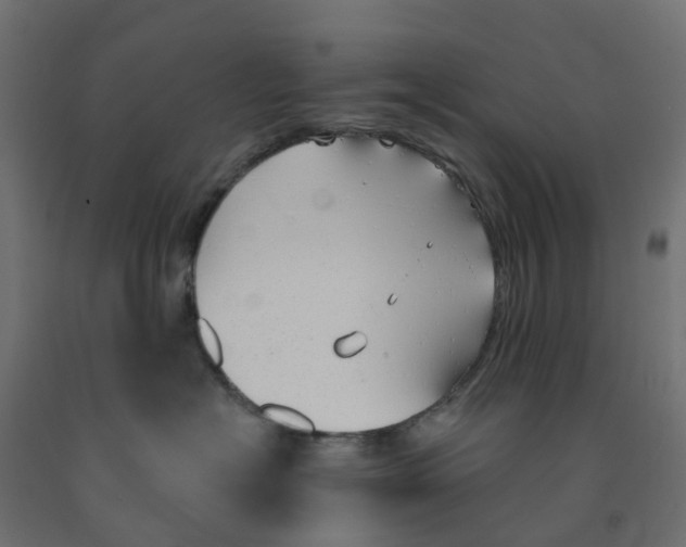 X0000091970574200710041051