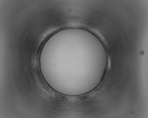 X0000091970579200710041051