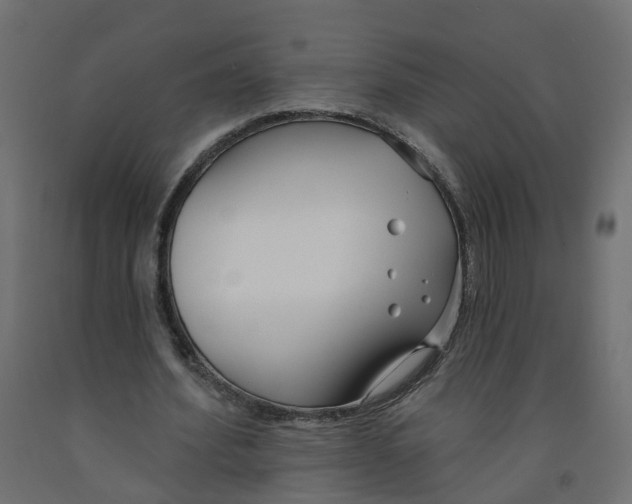 X0000091970580200710041051
