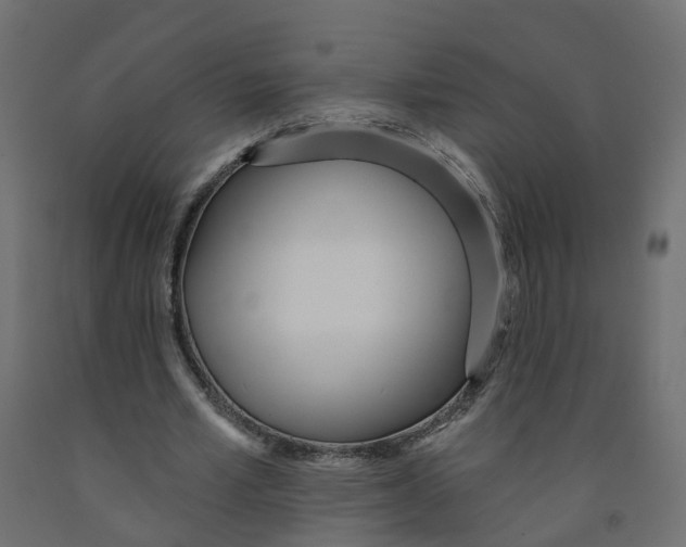 X0000091970581200710041051