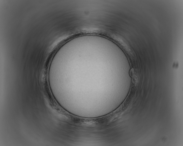 X0000091970583200710041051